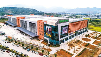 奮戰奮進看今朝 溫州各地一把手曬出2020發展 路線圖