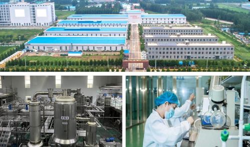 濟寧市2023年下半年綠色低碳高質量發展現場觀摩會 山東天威健康肉類食品生產項目