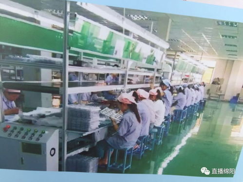 全市項目投資現場會 投資項目各具 氣質 集中檢閱 美出綿陽特色