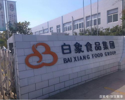 終于紅了的白象,要走鴻星爾克的 老路 你怎么看