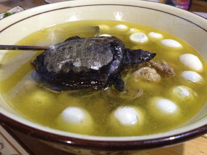 運動會慶功宴 teemye. 晴美互動 綿陽網站建設 綿陽網頁設計 綿陽網站制作 綿陽網絡公司 綿陽網站建設公司