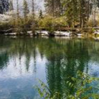 量子立學教育機構定制開發仿制網站