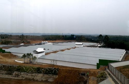 基層一線 綿陽宣傳 文明綿陽