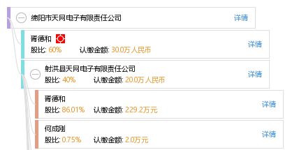 綿陽市天網(wǎng)電子有限責任公司