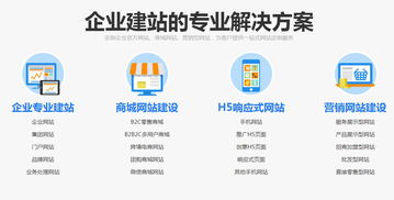 綿陽網站二次開發