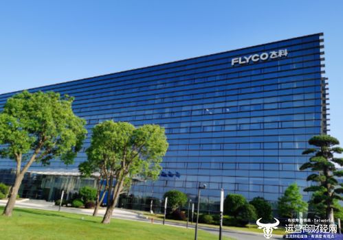 飛科電器執行副總裁金文彩年薪174.6萬 比副總裁吳禮清高多了