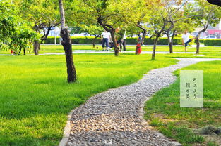 怎么樣讓一天精神滿滿