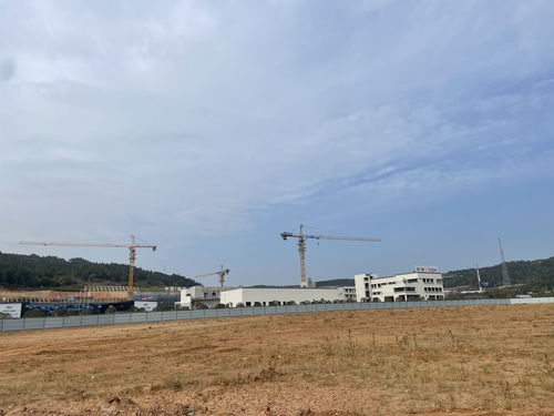 從實(shí)驗(yàn)樣品到市場產(chǎn)品 綿陽核醫(yī)學(xué)產(chǎn)業(yè)邁向百億目標(biāo)——新型工業(yè)化市州行報道