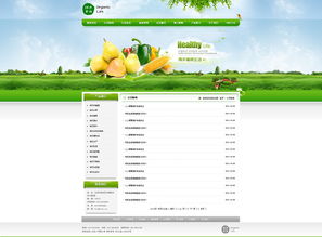 綿陽(yáng)綠色食品網(wǎng)站開(kāi)發(fā) 構(gòu)建健康與科技融合的電商平臺(tái)