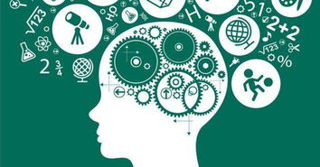 幻覺(jué)記憶背后的真相及其在綿陽(yáng)網(wǎng)站開(kāi)發(fā)中的應(yīng)用